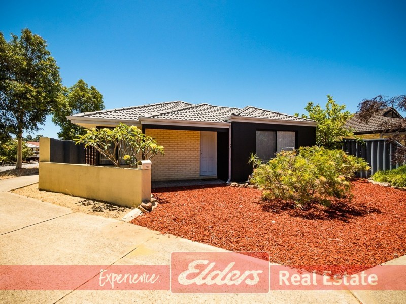 1 Triandra Street, Baldivis WA 6171
