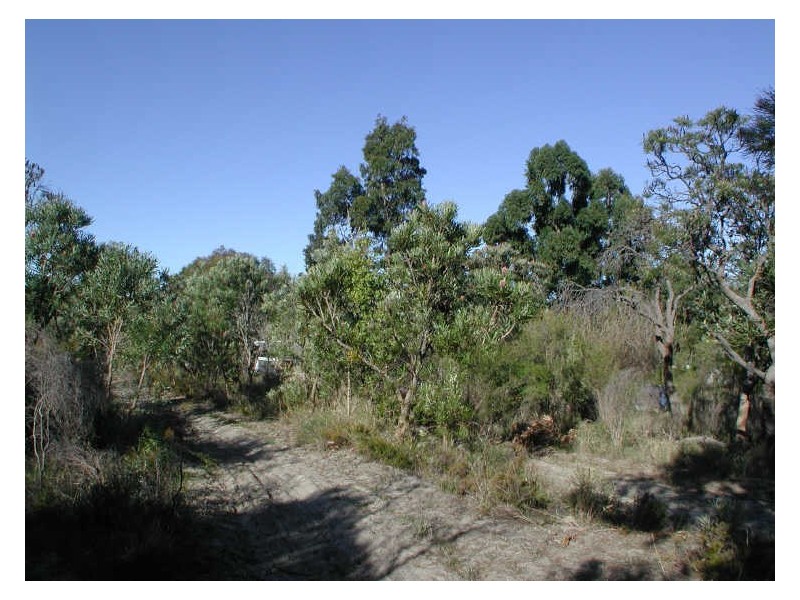 29 Lugg Place, Casuarina WA 6167