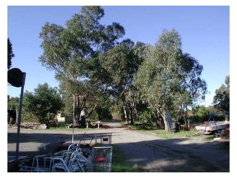 29 Lugg Place, Casuarina WA 6167