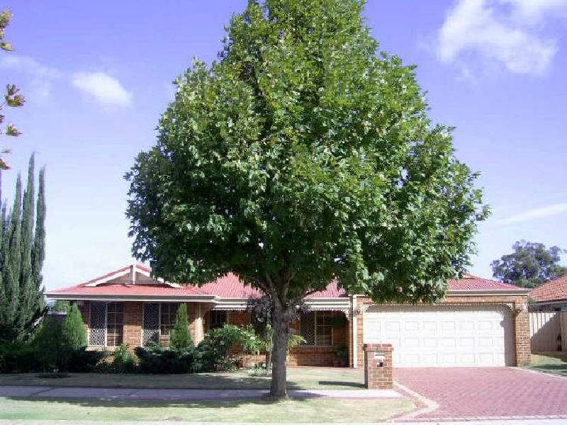 22 Arpenteur Drive, Baldivis WA 6171