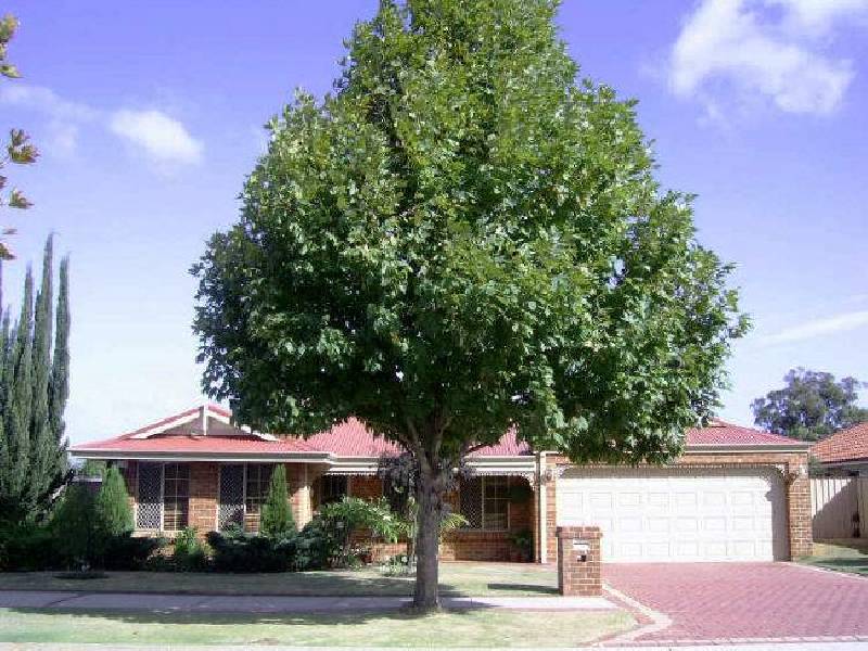 22 Arpenteur Drive, Baldivis WA 6171