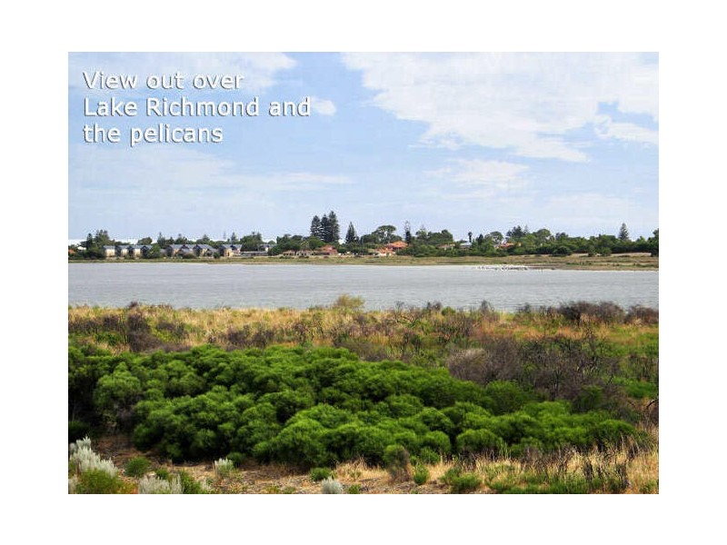 19 Zaraffa Avenue, Shoalwater WA 6169