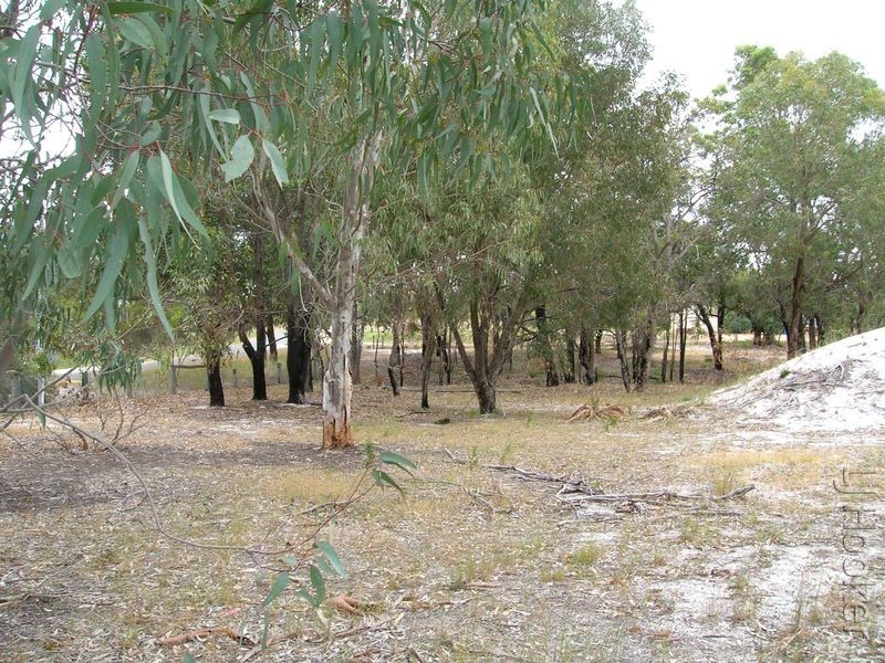 21 Lugg Place, Casuarina WA 6167