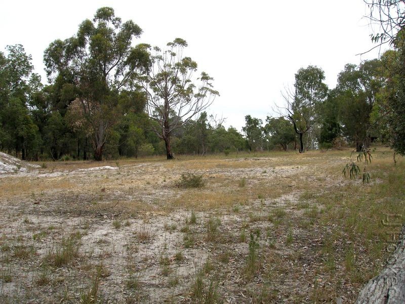 21 Lugg Place, Casuarina WA 6167