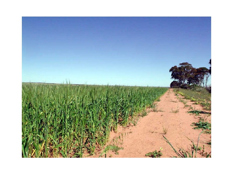 602 East Boundary Road, Gabbin WA 6476