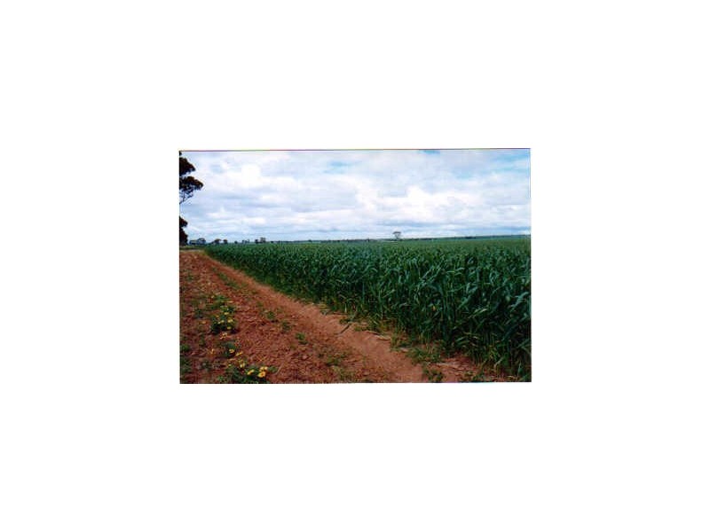 602 East Boundary Road, Gabbin WA 6476