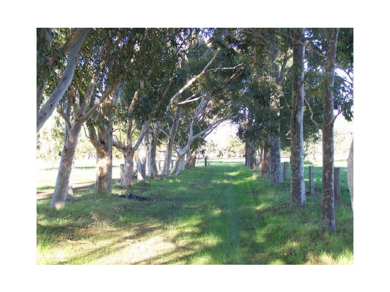 25 Tallagandra Court, Serpentine WA 6125