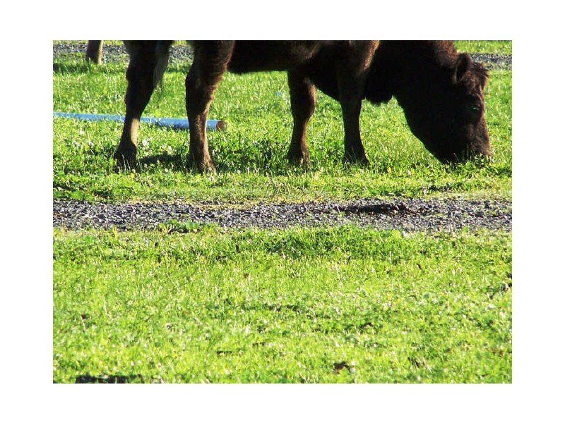 25 Tallagandra Court, Serpentine WA 6125