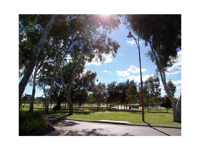 17 Flametree Loop, Baldivis WA 6171