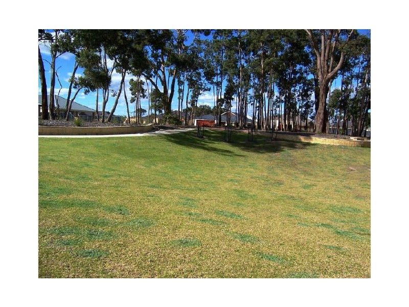 17 Flametree Loop, Baldivis WA 6171