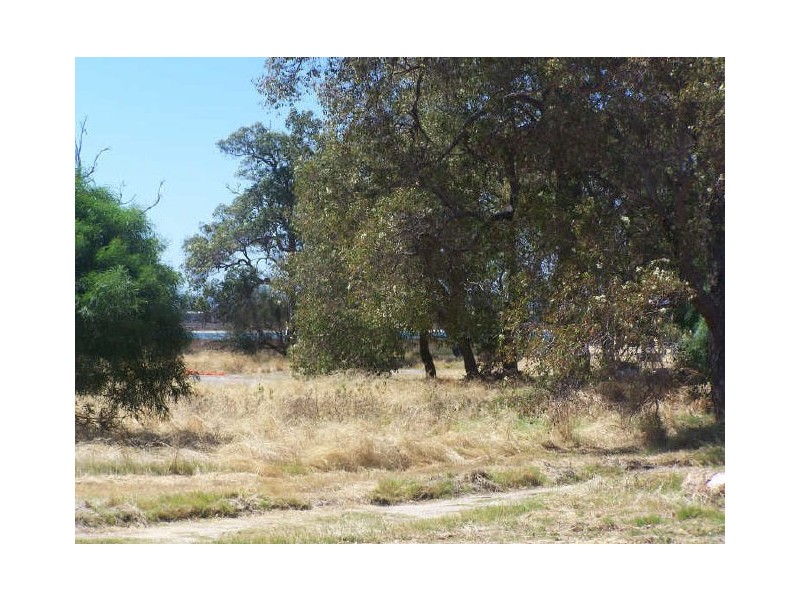 1 Lancelin Way, Erskine WA 6210