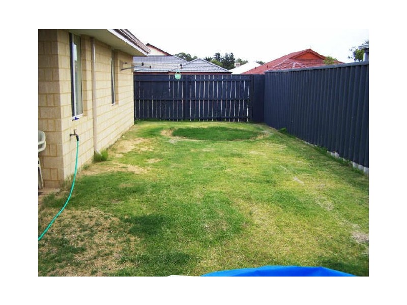 1 Winpara Way, Baldivis WA 6171