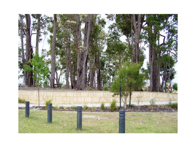 1 Winpara Way, Baldivis WA 6171