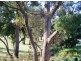 Lot 138 Anfield Court, Baldivis WA 6171