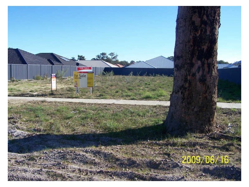 12 Aspera Elbow, Baldivis WA 6171