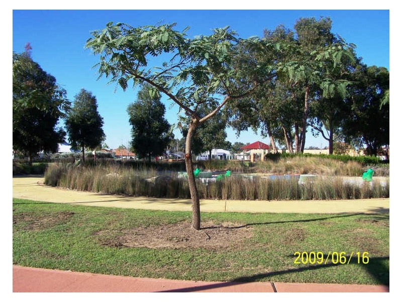 12 Aspera Elbow, Baldivis WA 6171