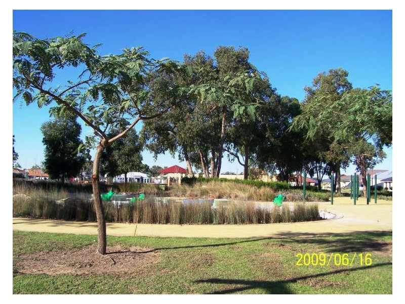 12 Aspera Elbow, Baldivis WA 6171