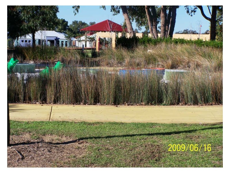 12 Aspera Elbow, Baldivis WA 6171