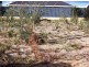 15 Aspera Elbow, Baldivis WA 6171