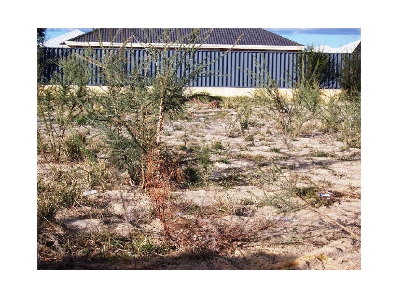 15 Aspera Elbow, Baldivis WA 6171
