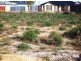 3 Corymbia Green, Baldivis WA 6171