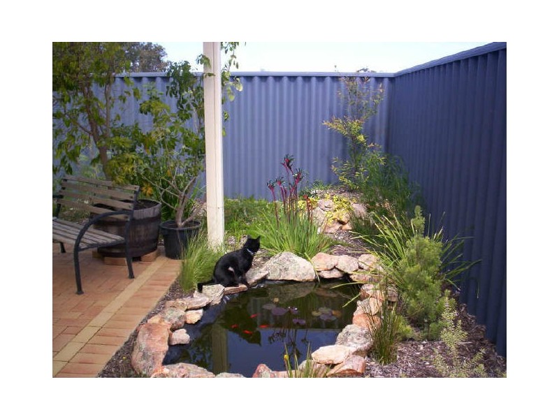 38 Litoria Turn, Baldivis WA 6171