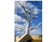 13 Minchin Turn, Baldivis WA 6171