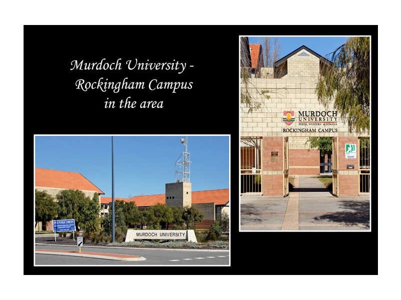 13 Minchin Turn, Baldivis WA 6171