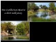 5 Aspen Court, Cooloongup WA 6168