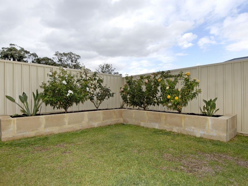 8 Carver Lane, Baldivis WA 6171