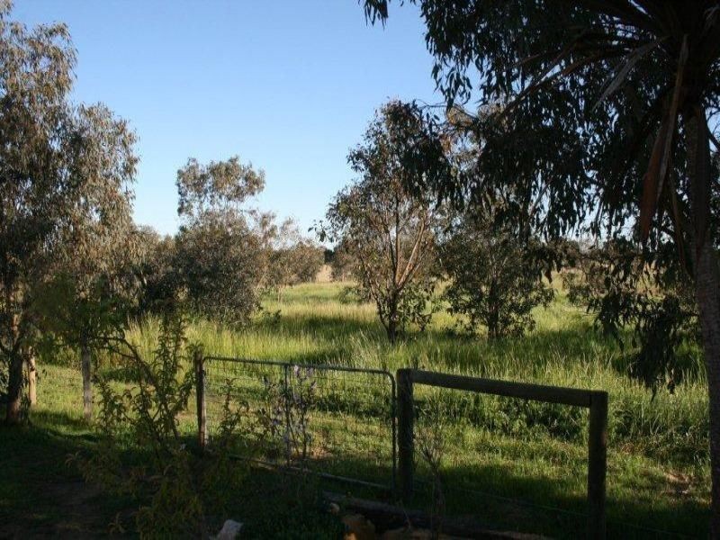 69 Haines Road, Baldivis WA 6171