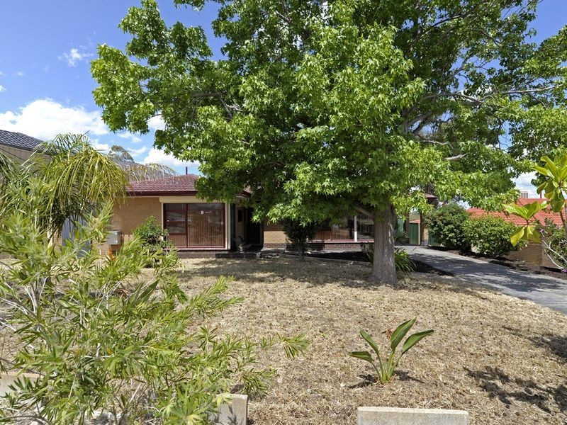 14 Clarinda Avenue, Orelia WA 6167