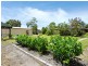 31 Woodland Place, Casuarina WA 6167