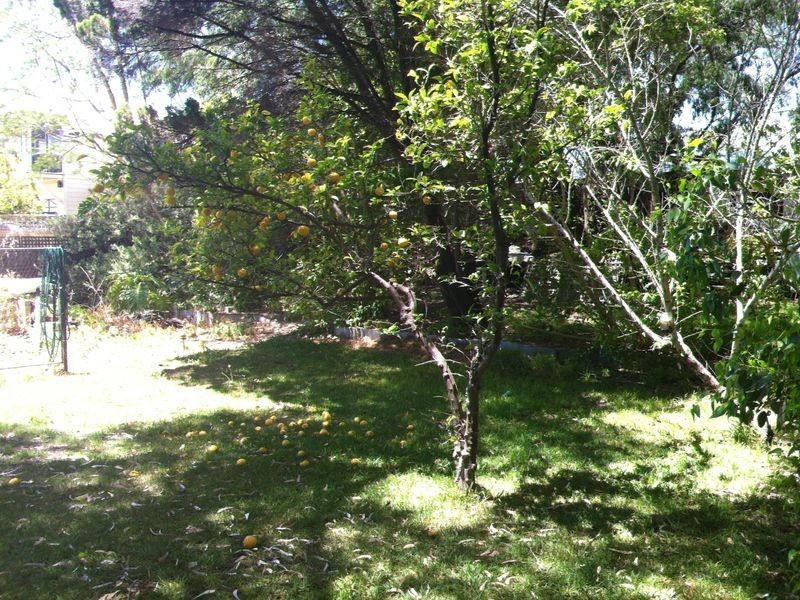 36 George Street, Rockingham WA 6168