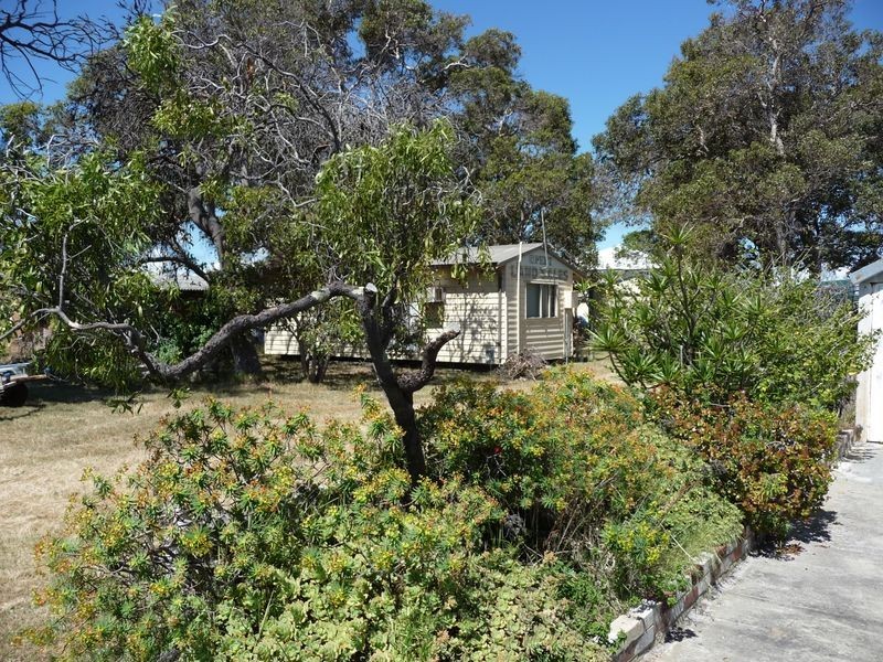 43 Littleton Street, Falcon WA 6210