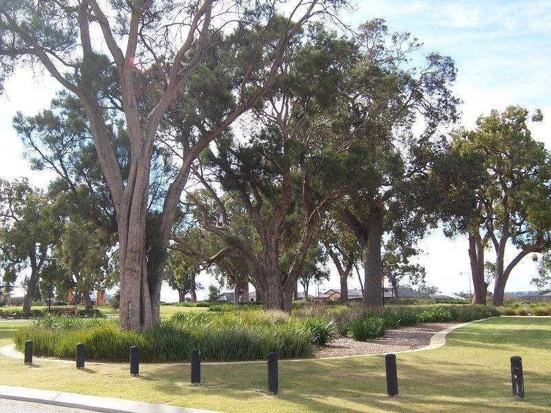 31 Karridale Loop, Baldivis WA 6171