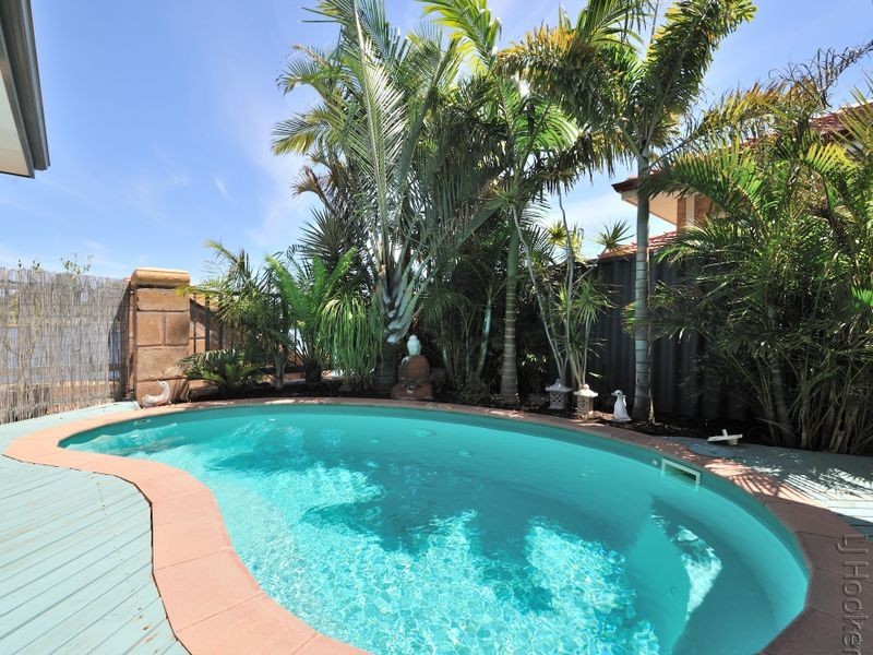 7 Callistemon Gardens, Baldivis WA 6171