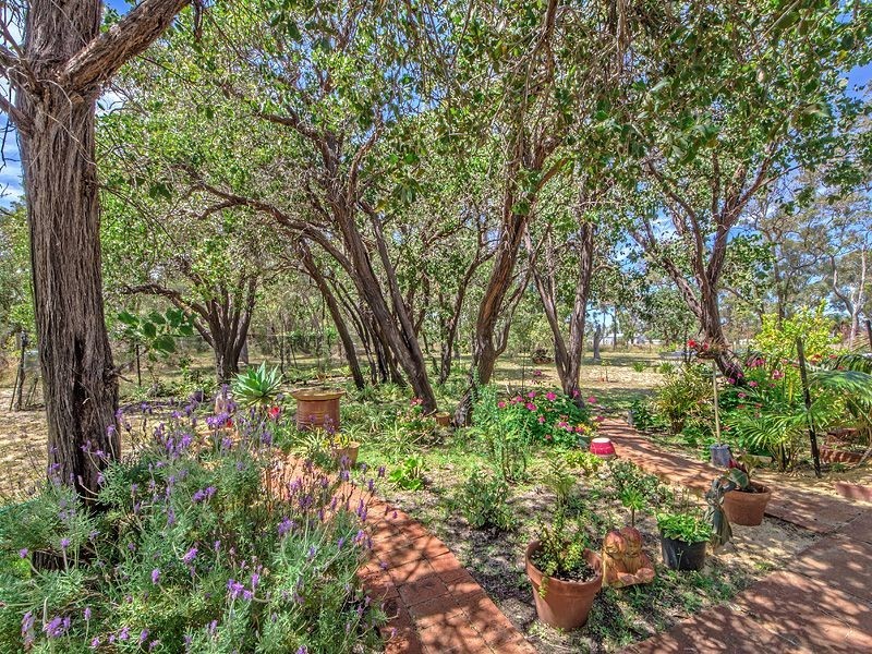 6 Diogenes Court, Baldivis WA 6171