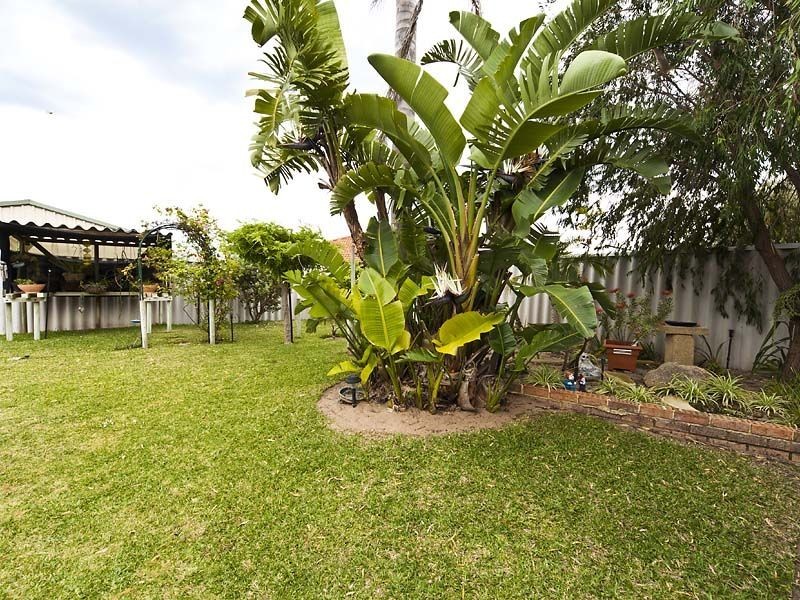 31 Gascoyne Way, Cooloongup WA 6168