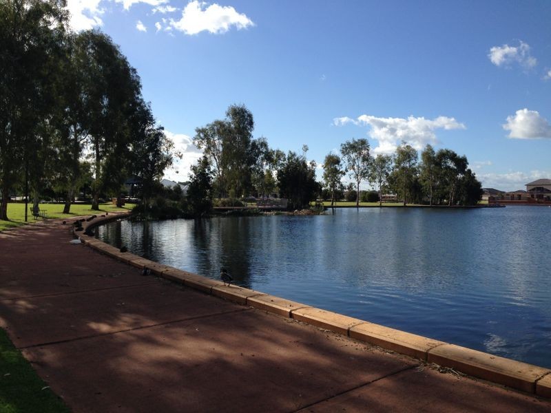 16 Magenta Crescent, Baldivis WA 6171