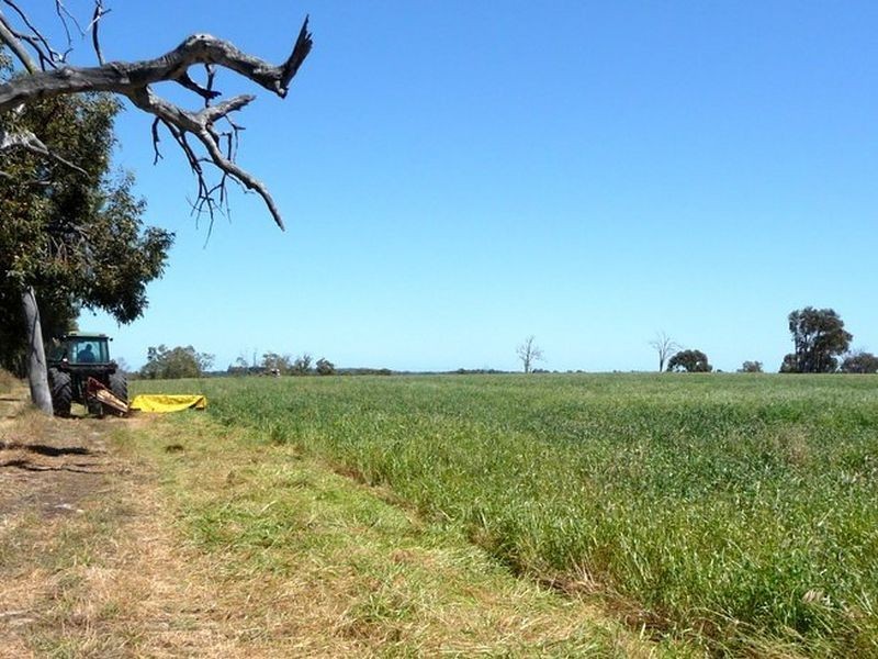 514 Hopeland Road, Hopeland WA 6125