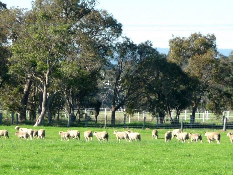 514 Hopeland Road, Hopeland WA 6125