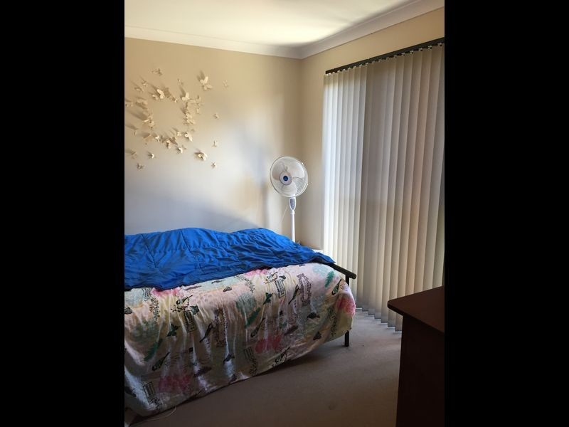 19 Boobook Lane, Baldivis WA 6171