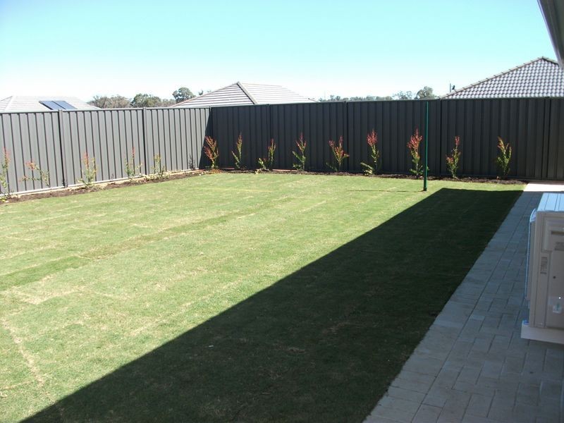 53 Liddard Gardens, Baldivis WA 6171