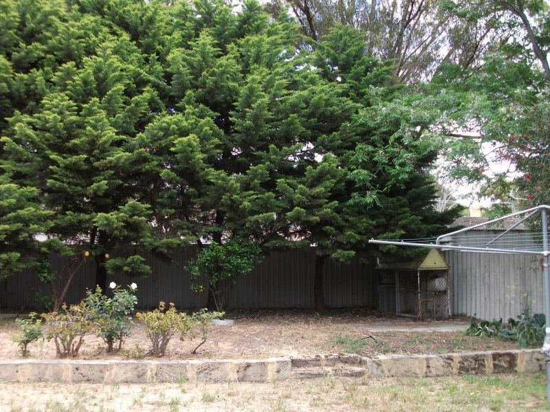 48 Brownell Crescent, Medina WA 6167