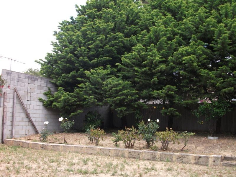 48 Brownell Crescent, Medina WA 6167