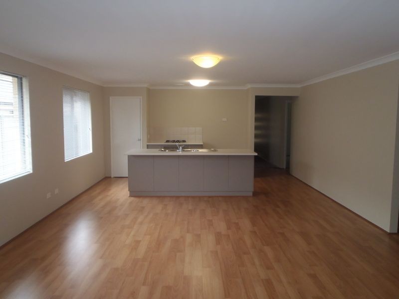 41 Grafton Rise, Baldivis WA 6171