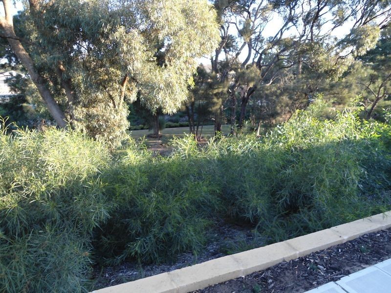 7 Cornwall Lane, Baldivis WA 6171