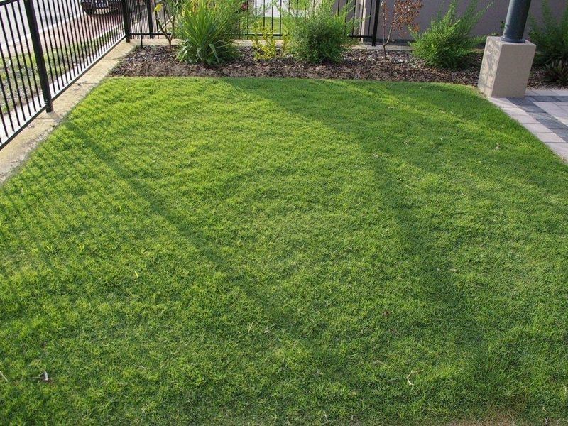 5 Norseman Approach, Baldivis WA 6171