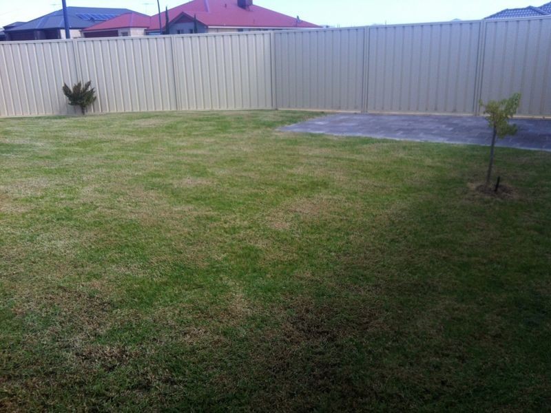 28 Tallon Loop, Baldivis WA 6171